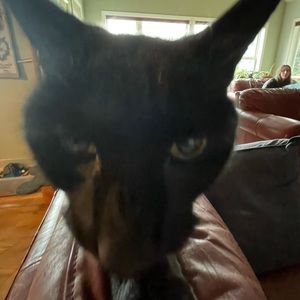 Meet your Posher, Josiah